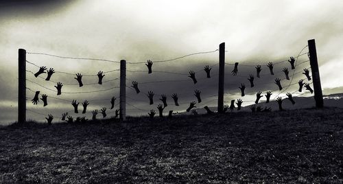 Silhouette fence on field against sky