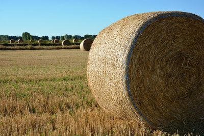 Hay bales on field against sky