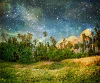 Trees on field at night