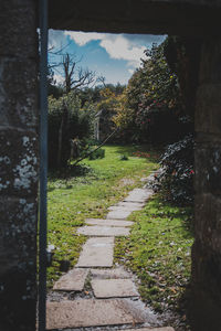 Footpath in park