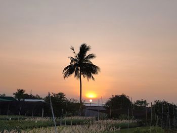 Silhouette palm trees against sky during sunset