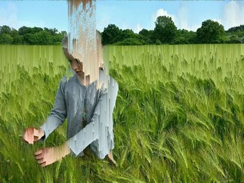 People walking on grassy field