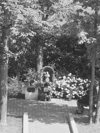 Man sitting on tree trunk in park