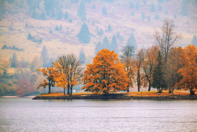 Scenic view of lake by trees during autumn