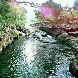 Scenic view of river against sky