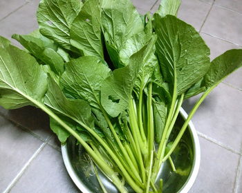 High angle view of vegetables