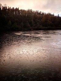 Scenic view of lake in forest against sky