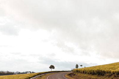 Panoramic view of road amidst field against sky