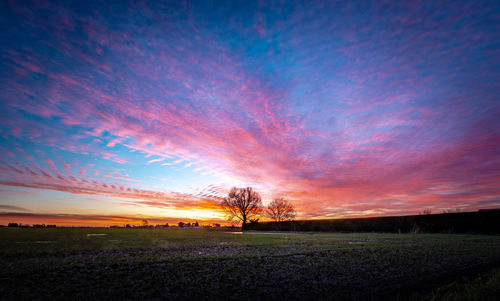 Silhouette trees on field against sky during sunset