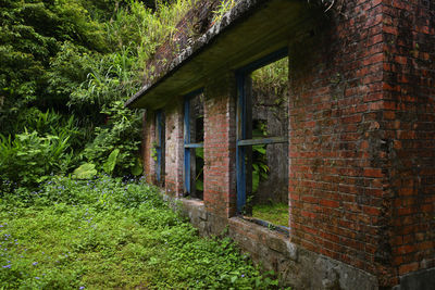 Abandoned building in forest