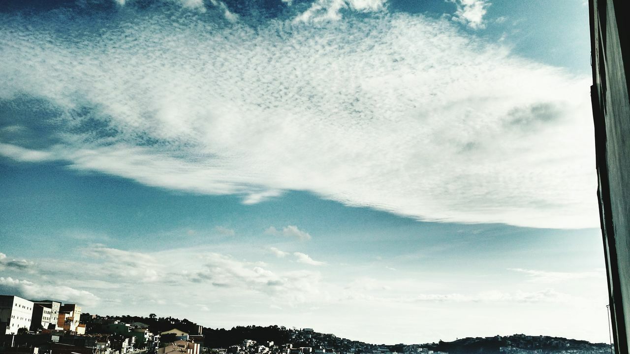 LOW ANGLE VIEW OF SKY AND TREES AGAINST CLOUDY BLUE