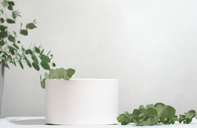 Close-up of potted plant on table