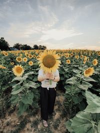 Girl in sunflower field