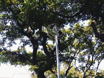 Low angle view of trees