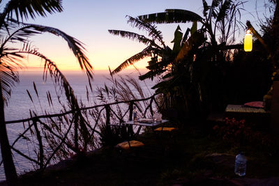 Silhouette plants by sea against sky during sunset