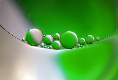 High angle view of multi colored balloons on water