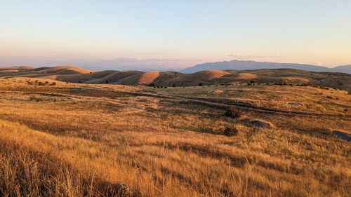 Scenic view of field against sky during sunset