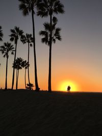 Silhouette palm trees on beach at sunset