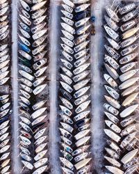 High angle view of fish for sale