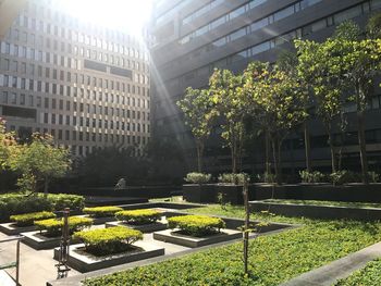 View of buildings in city