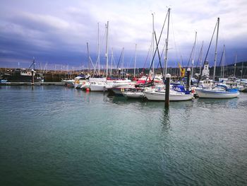 Sailboats moored in harbor