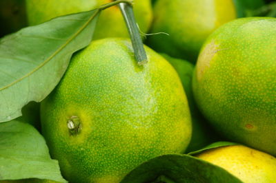 Close-up of bananas in market