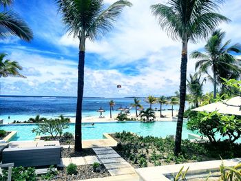 Palm trees by swimming pool against sky