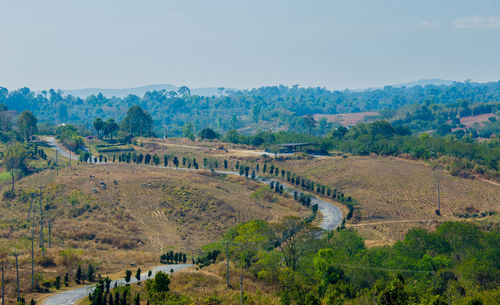 Panoramic view of trees on landscape against sky