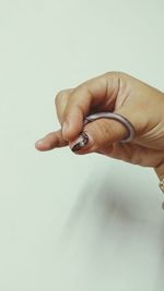 Cropped hand holding small snake against white background