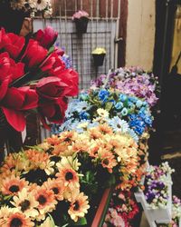 Close-up of flowering plant