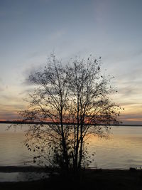 Silhouette bare tree by lake against sky during sunset