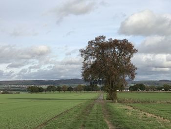 Scenic view of field against sky