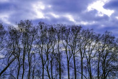 Low angle view of bare tree against cloudy sky