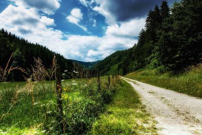 Empty road along plants and trees against sky
