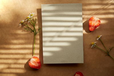 Stationery card mockup with trendy hard shadows. summer camomile and strawberries. 
