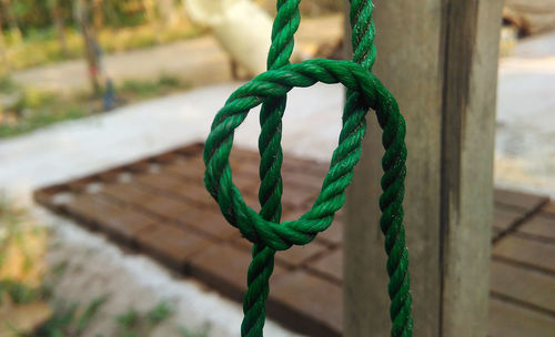 Close-up of rope in park