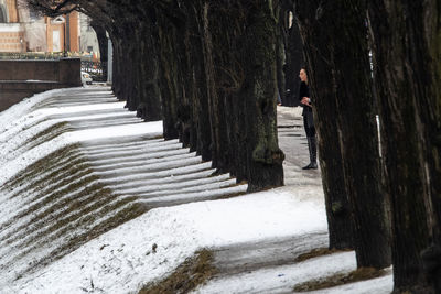 Man walking on staircase by tree