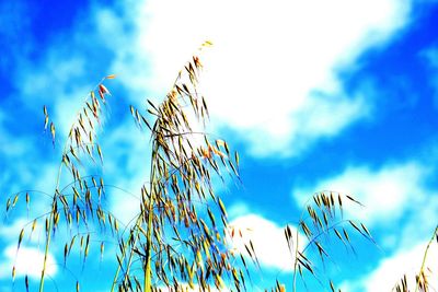 Low angle view of plants against cloudy sky