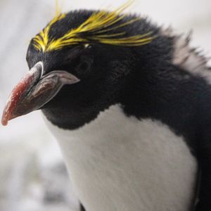 Low angle view of bird