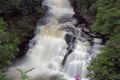 Scenic view of waterfall