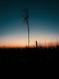 Silhouette plants on field against sky during sunset