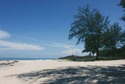 Scenic view of beach against blue sky