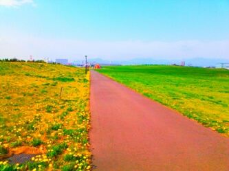 the way forward, field, landscape, grass, diminishing perspective, clear sky, tranquil scene, blue, tranquility, vanishing point, rural scene, road, nature, copy space, sky, beauty in nature, agriculture, green color, scenics, growth