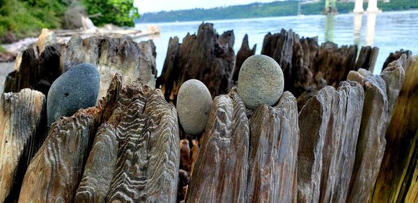 Close-up of wooden posts on beach