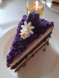 Close-up of purple flower in plate