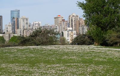 Buildings in city