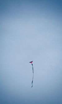 Low angle view of bird flying in sky