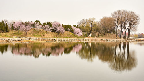 Scenic view of lake against clear sky