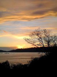 Silhouette tree by lake against sky during sunset