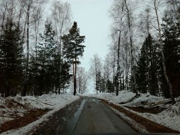 Road amidst trees against sky during winter